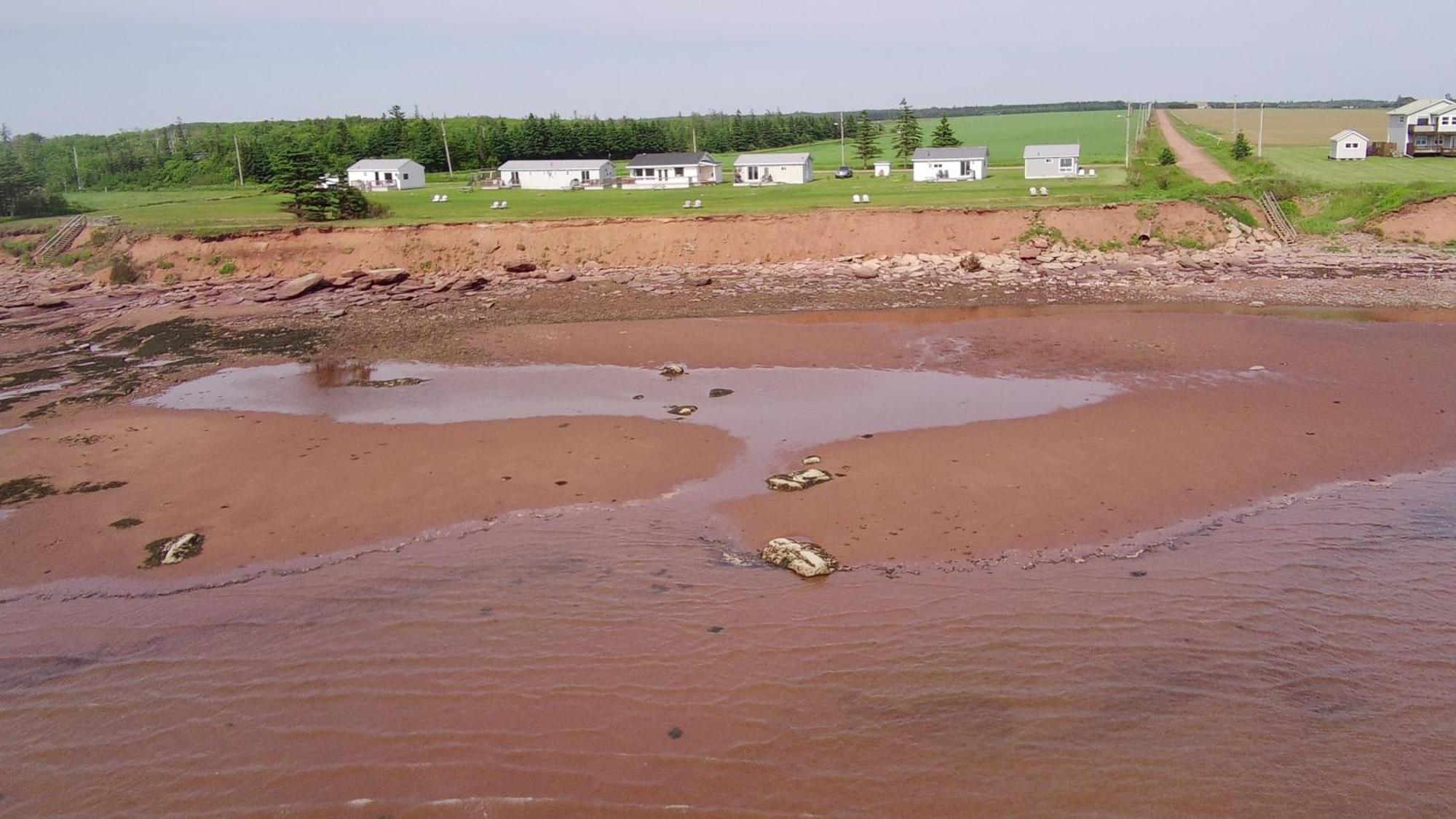 Cottages On Pei-Oceanfront Bedeque Zewnętrze zdjęcie
